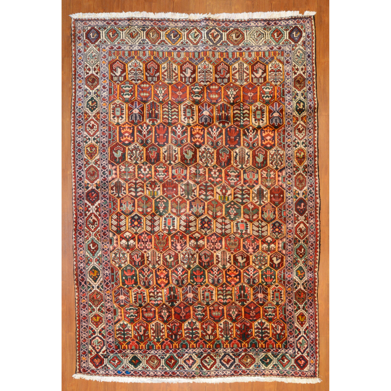 HAMADAN RUG PERSIA 6 8 X 9 9 3387e0