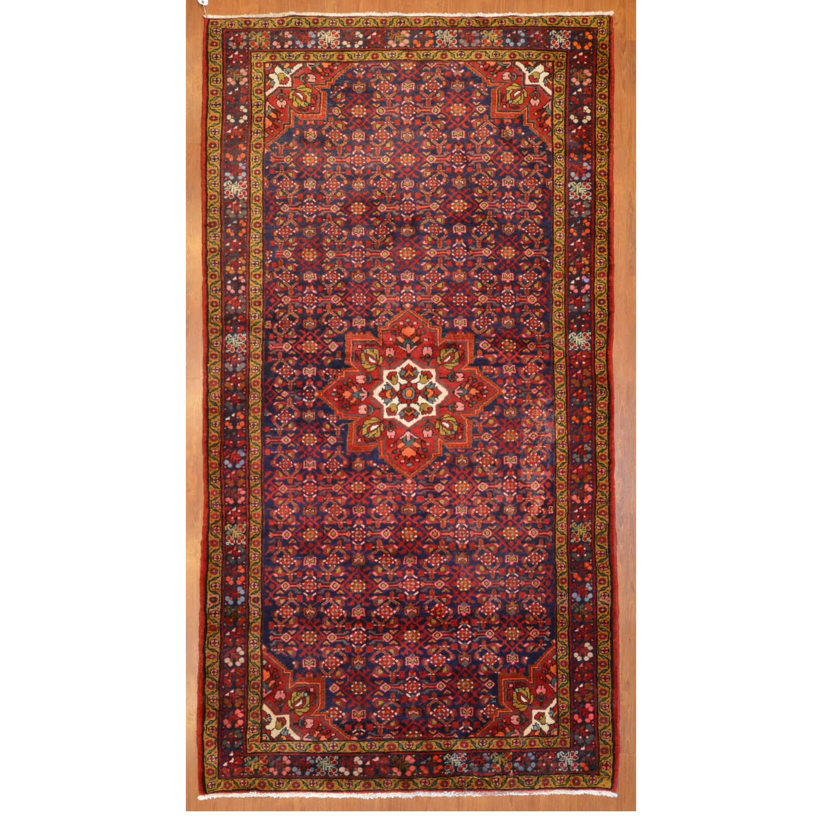 HAMADAN RUG, PERSIA, 5.1 X 9.7