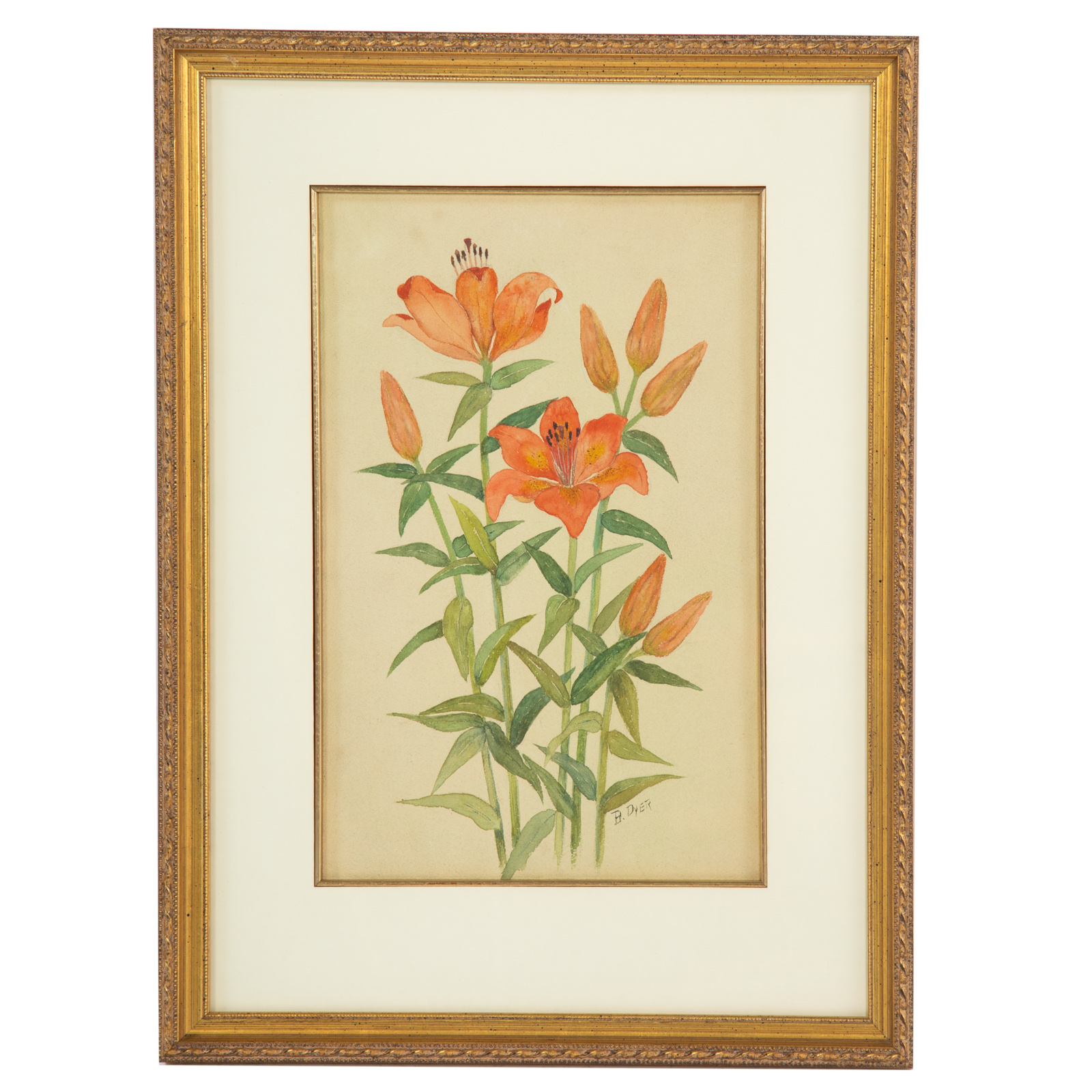 B DYER DAY LILIES WATERCOLOR 338ed4