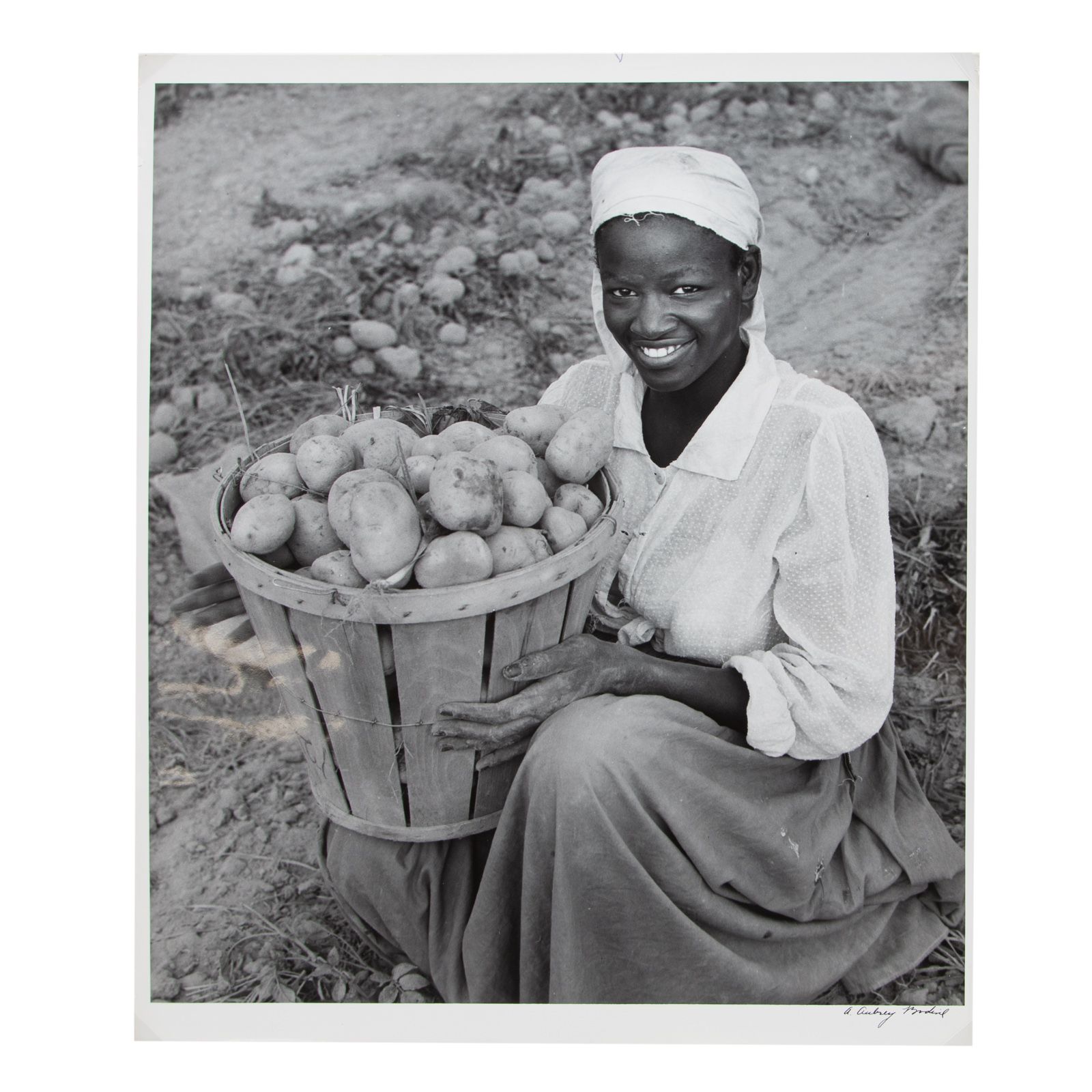 A. AUBREY BODINE. "POTATOES-EASTERN