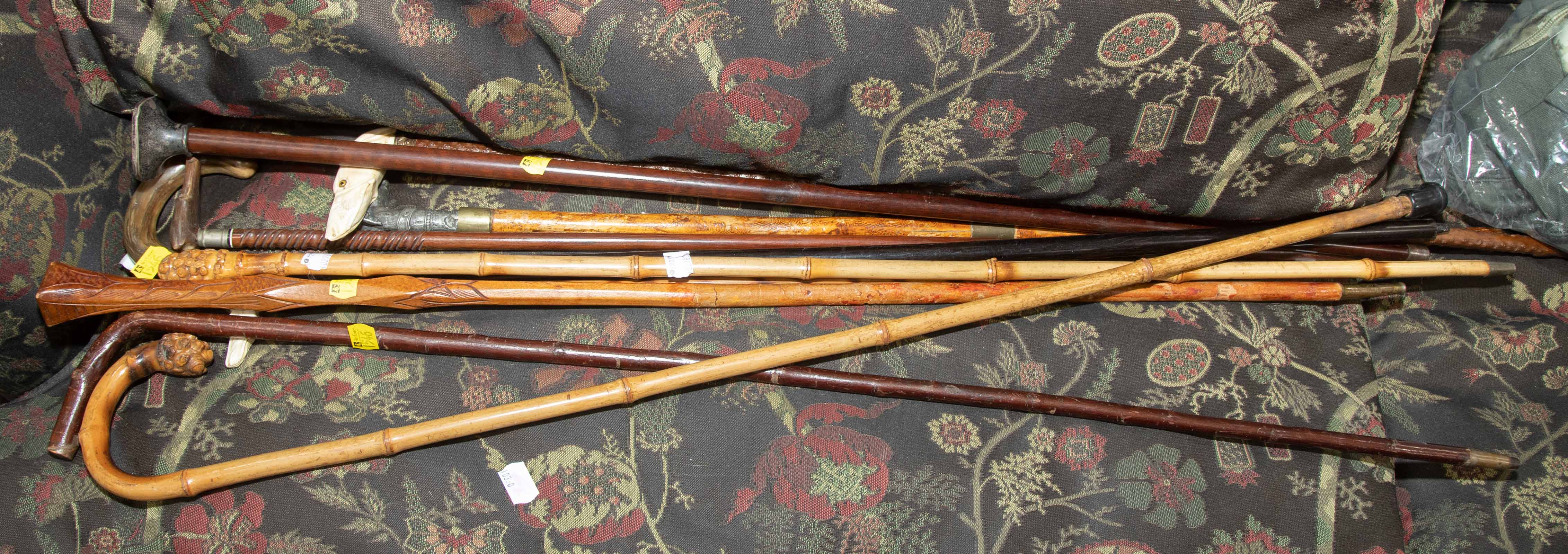 10 CANES WALKING STICKS Includes 337a7b