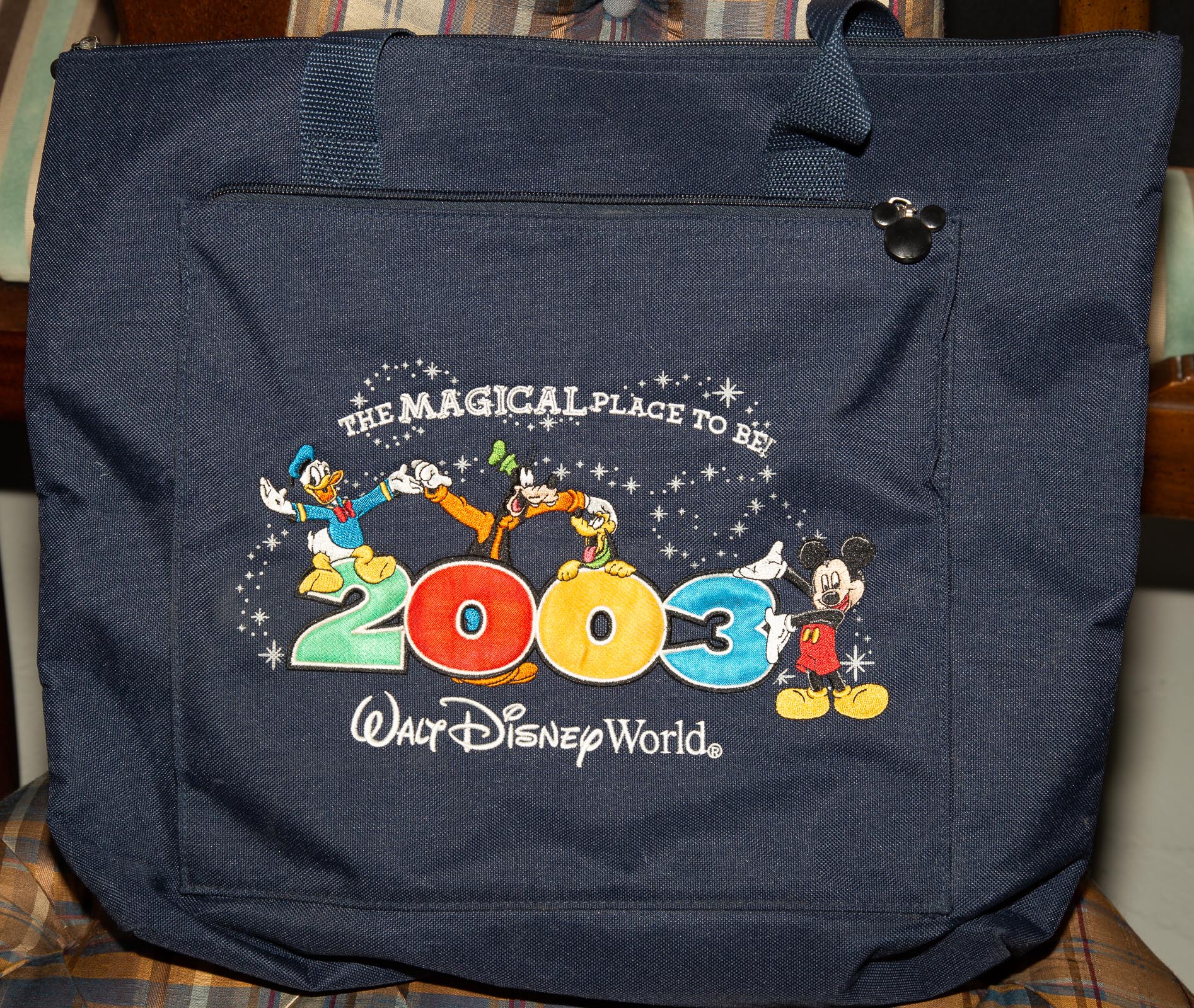 DISNEY COLLECTIBLES COACH BAG 337b0e