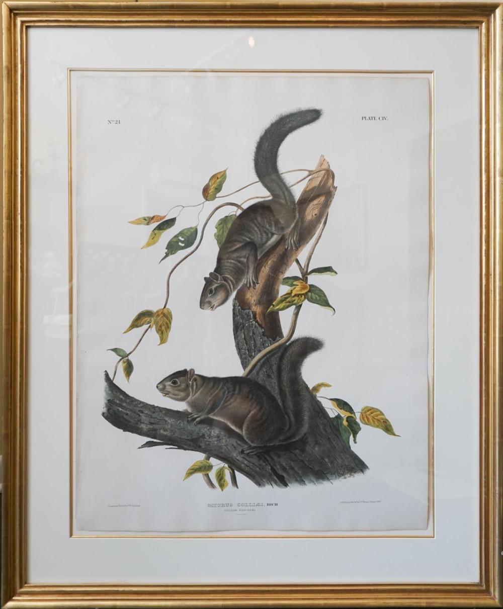 JOHN WOODHOUSE AUDUBON (AMERICAN,