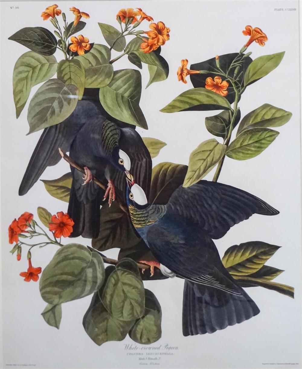 JOHN JAMES AUDUBON (AMERICAN, 1785-1851)