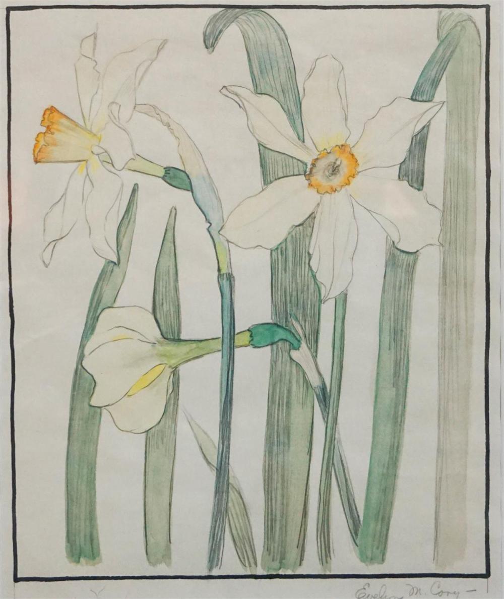 EVELYN CAREY WHITE DAFFODILS WATERCOLOR  33a3d5