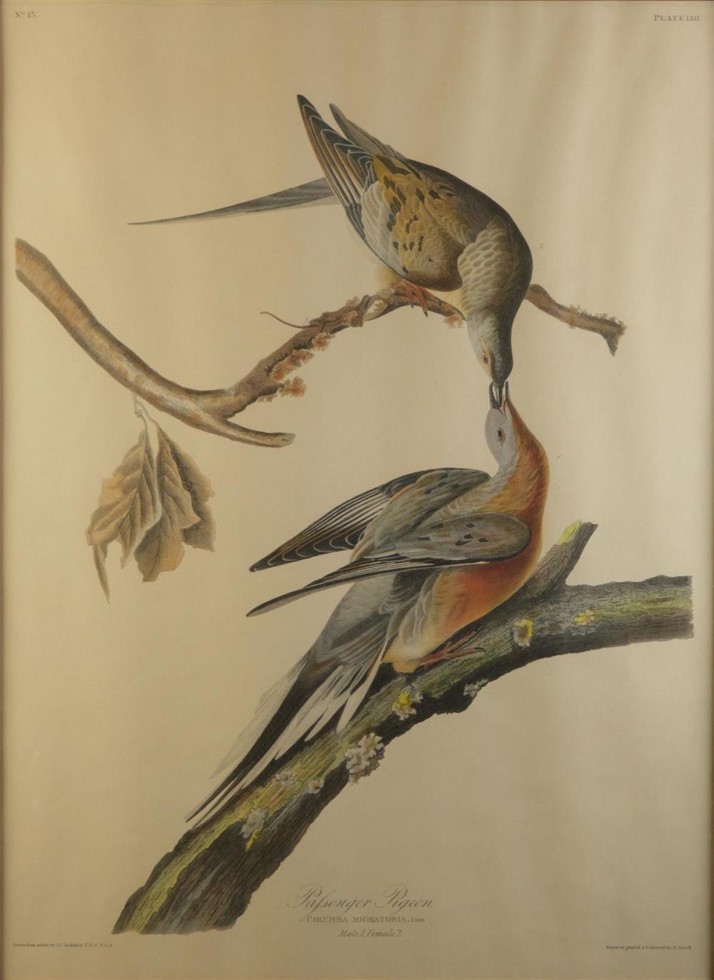 JOHN JAMES AUDUBON (AMERICAN, 1785-1851)