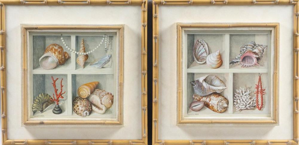 GALLEY (20TH CENTURY) SEASHELLS