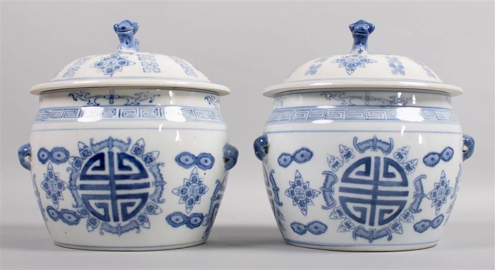 PAIR OF CHINESE STYLE BLUE AND