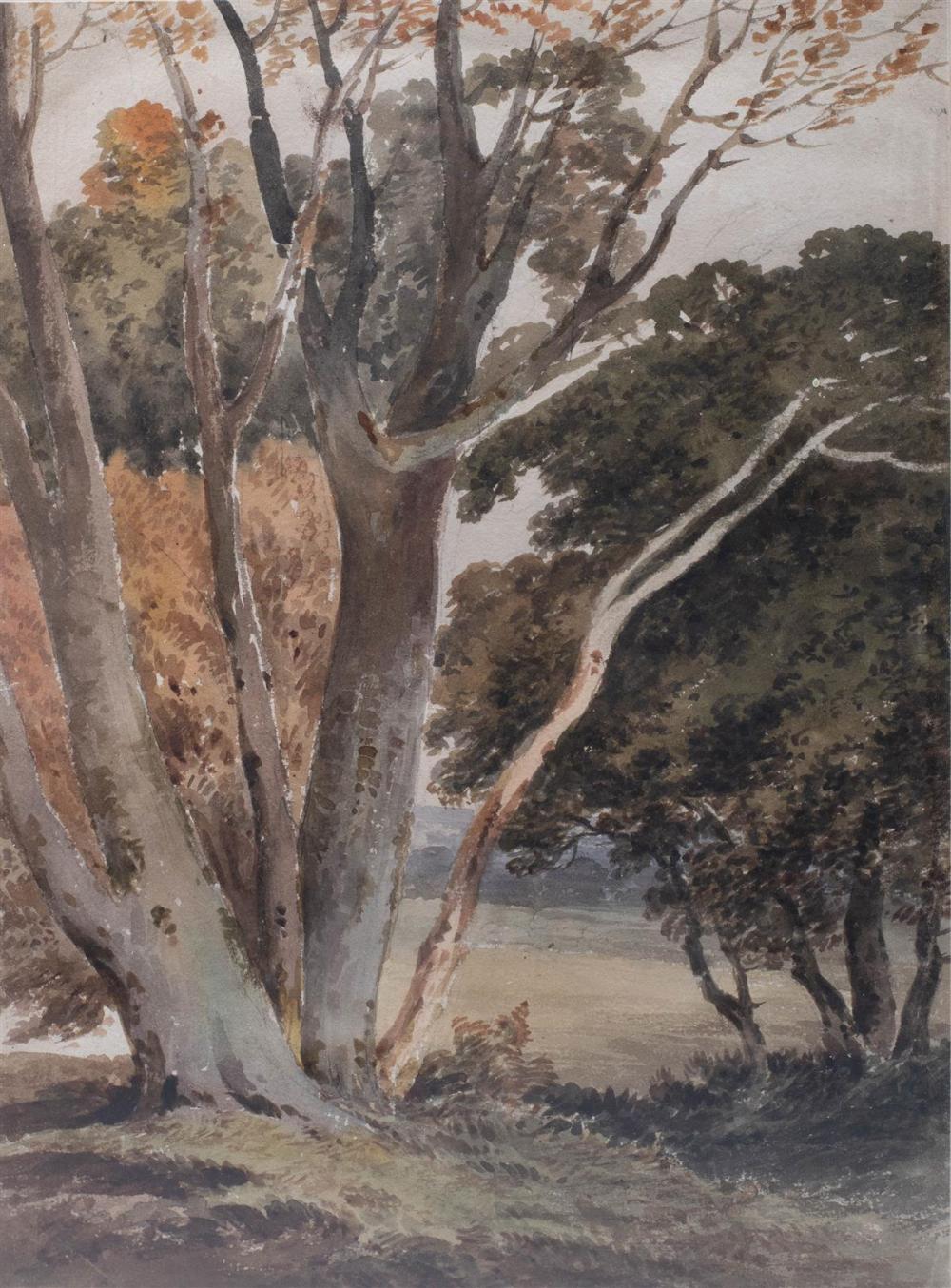 BRITISH SCHOOL 19TH CENTURY TREE 33b6c9