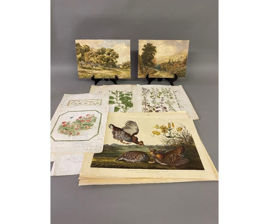 Seven hand-colored botanical prints