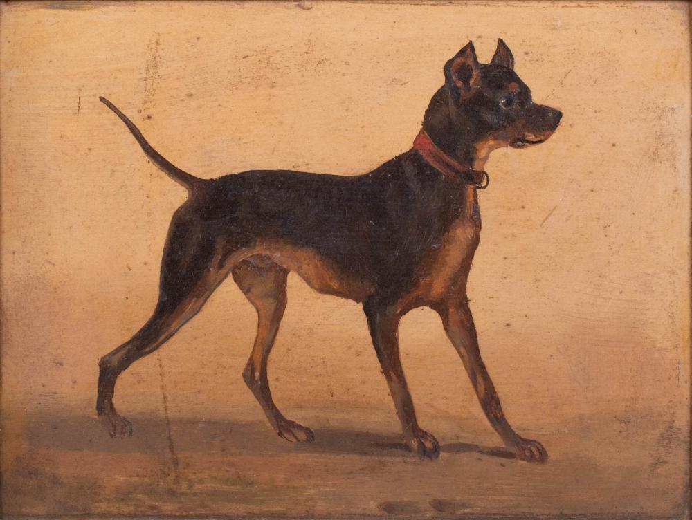  19TH 20TH CENTURY PINSCHER  33ca34