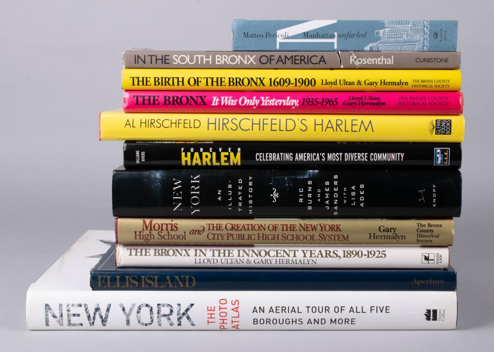 ELEVEN BOOKS ON NEW YORK CITYELEVEN 33d1be