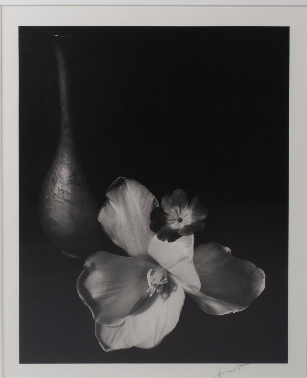 HORST P HORST AMERICAN GERMAN 33d523