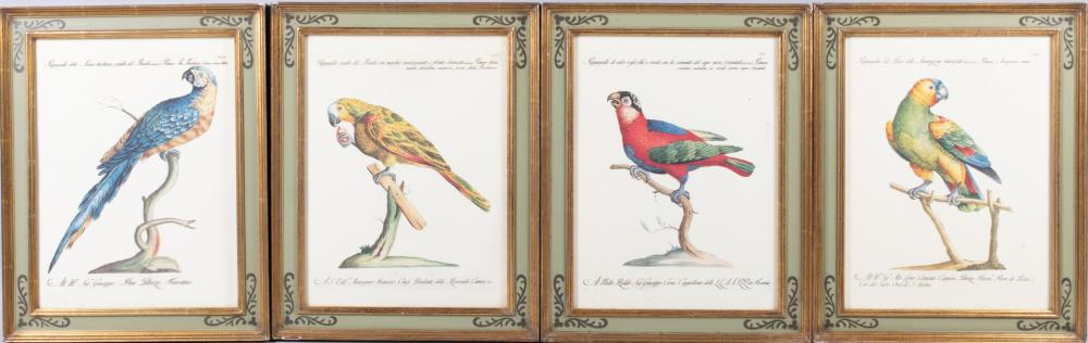 PARROTS, PRINTS, SIGHT: 15 1/2