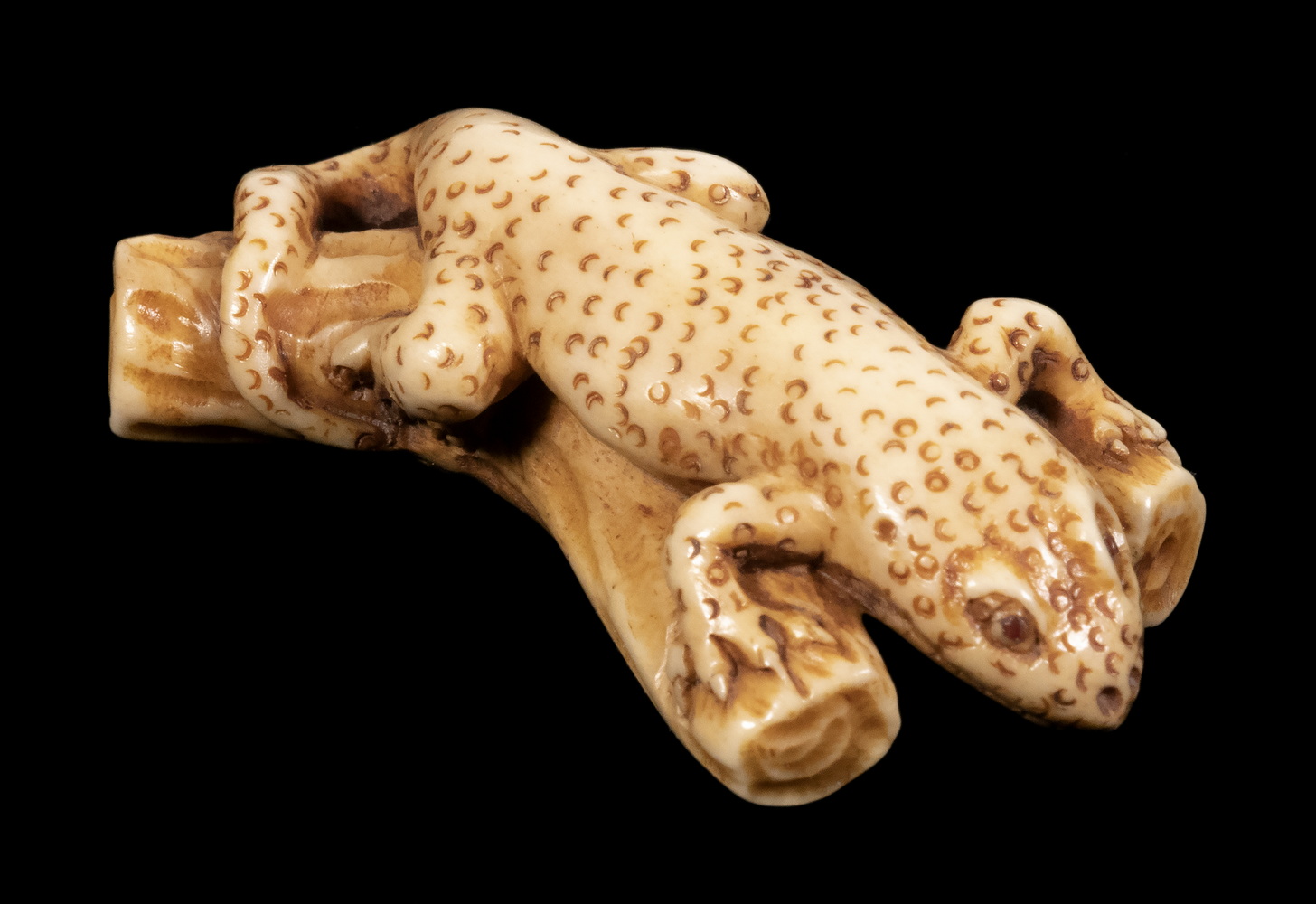 19TH C JAPANESE NETSUKE OF A SALAMANDER 33d743