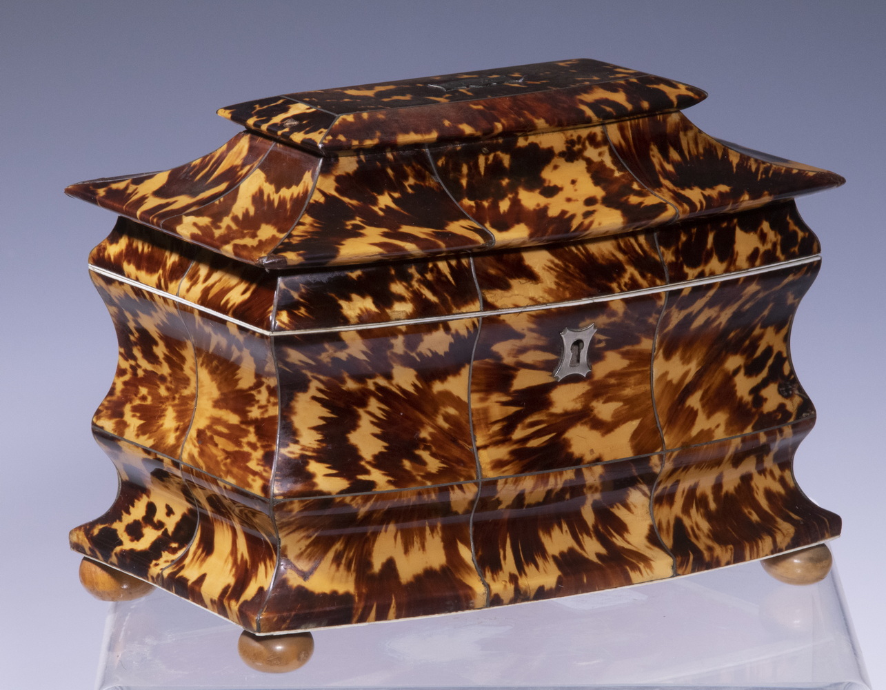 TORTOISESHELL TEA CADDY English 33dd85