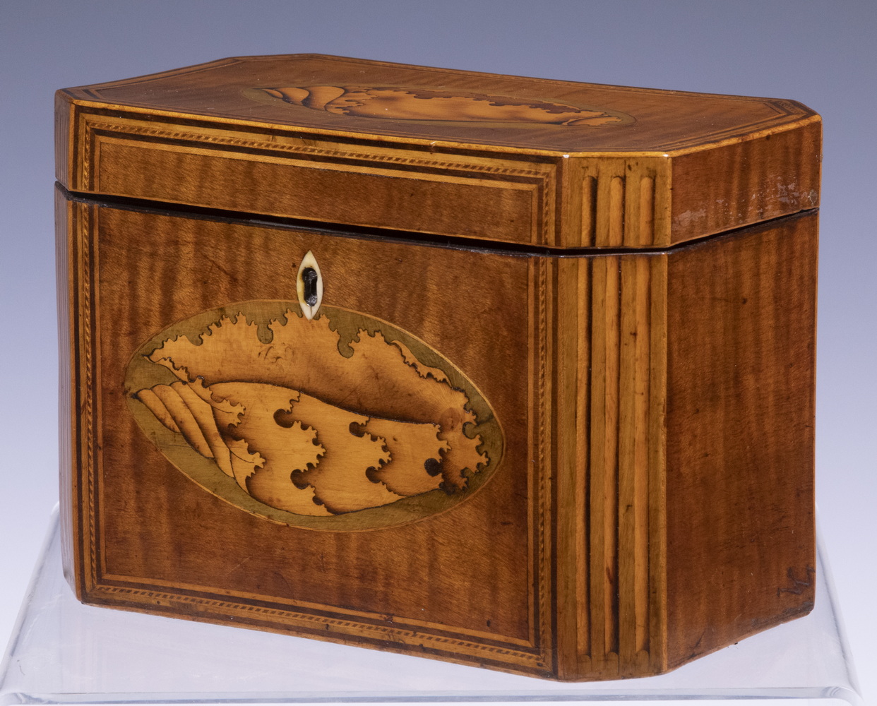 INLAID SATINWOOD TEA CADDY English 33dd9e