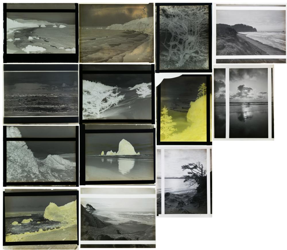 THIRTEEN PHOTOGRAPHIC NEGATIVES POSITIVES 33fad4