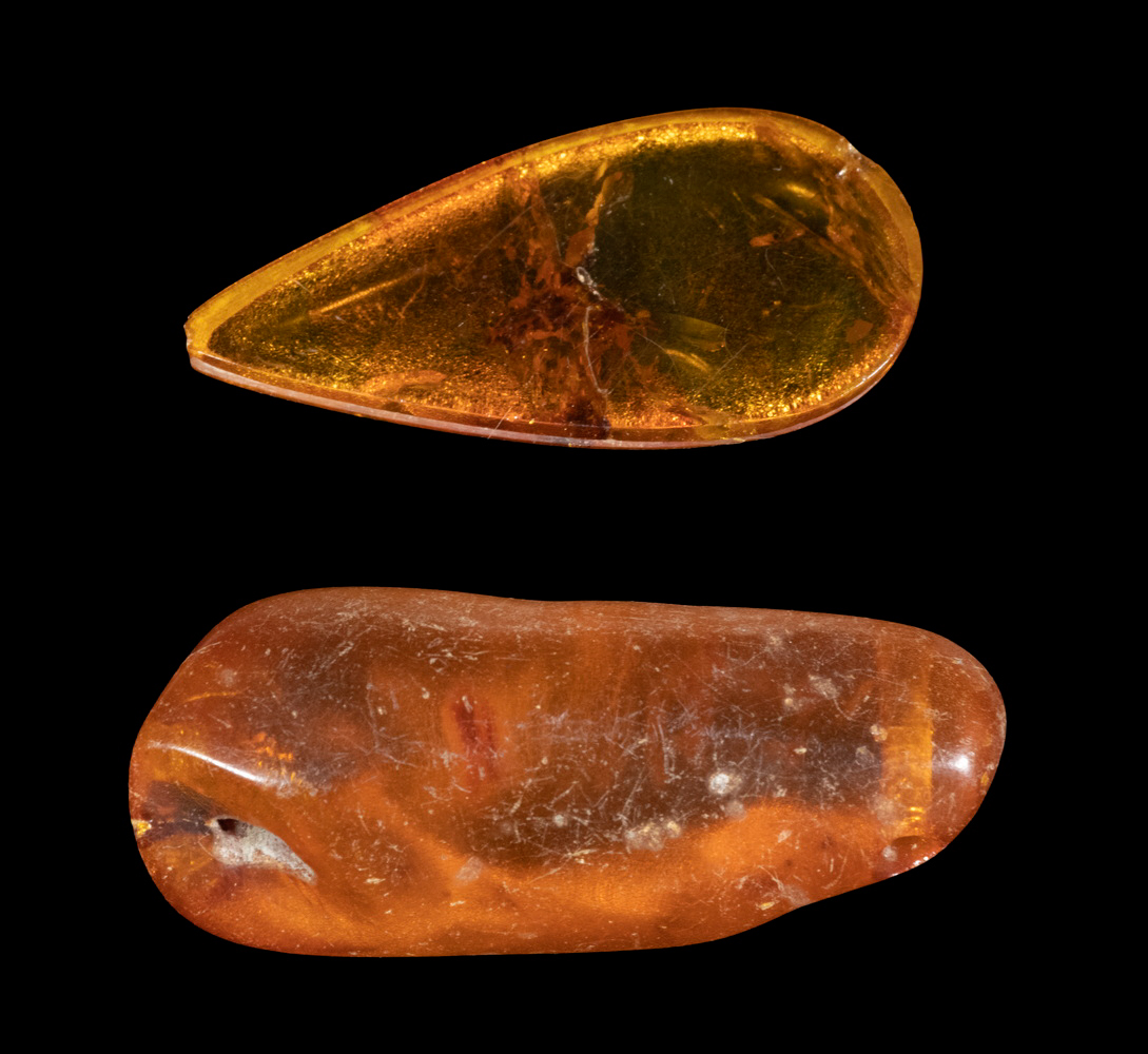  2 PCS AMBER ONE WITH INSECT 33fec8