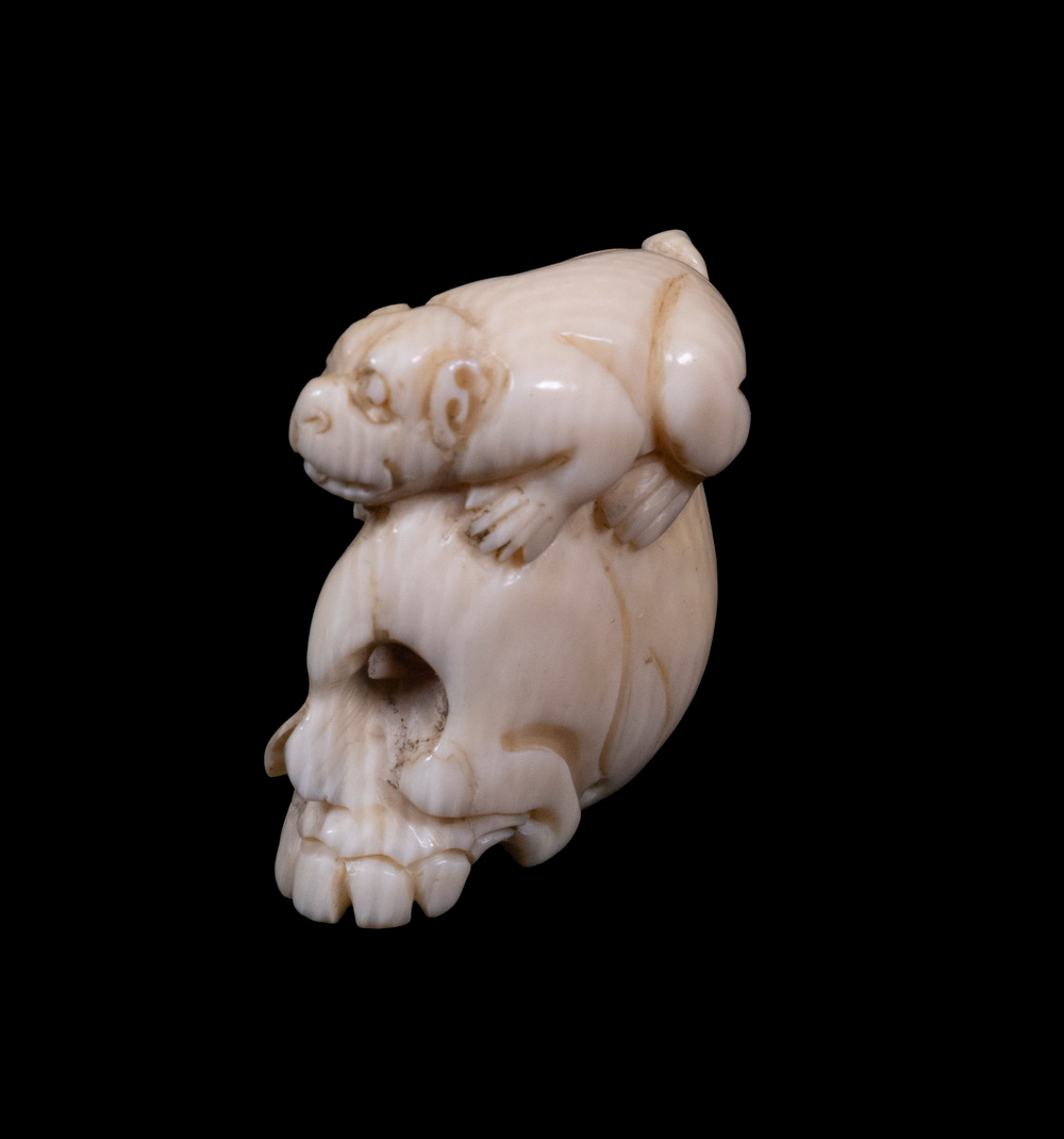 IVORY NETSUKE Monkey laying of 33feea