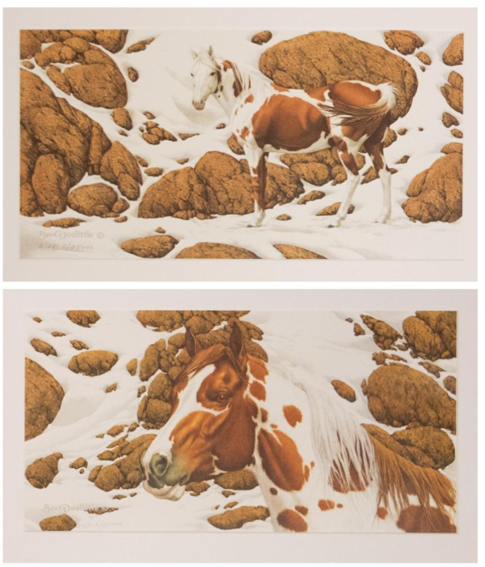 BEV DOOLITTLE CALIFORNIA BORN 34018b