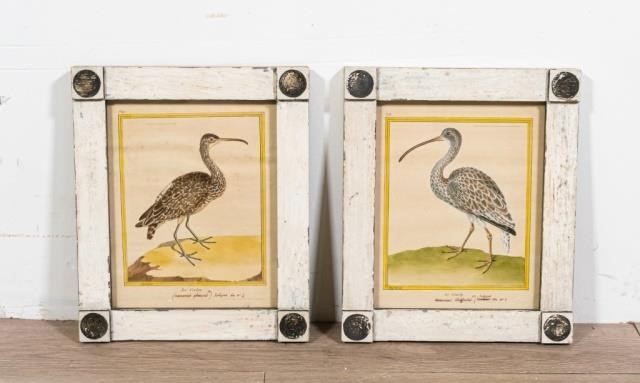 FRANCOIS EDWARD MARTINET ORNITHOLOGICAL 3406c6