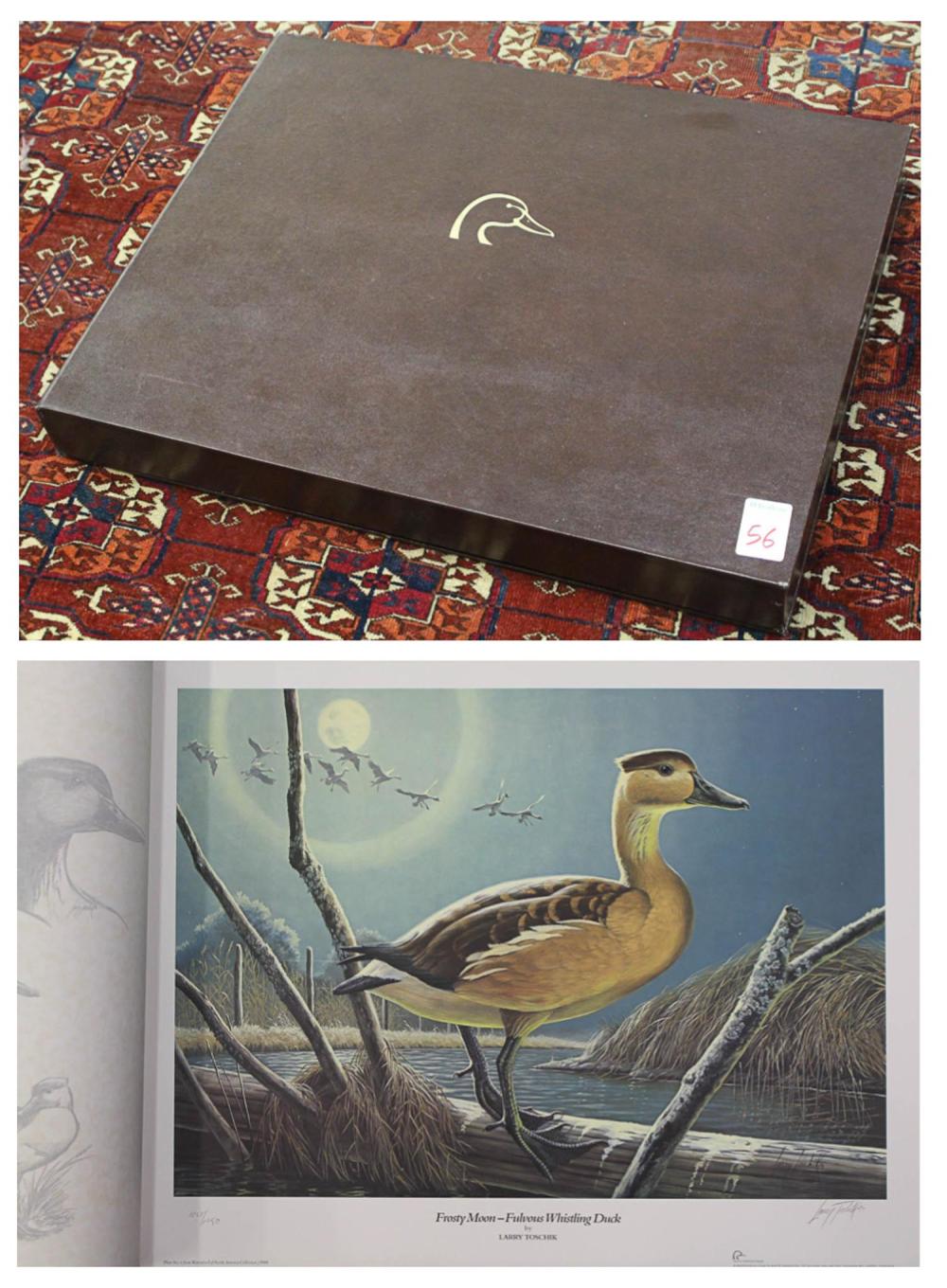 WATERFOWL OF NORTH AMERICAN: FOLIO OF