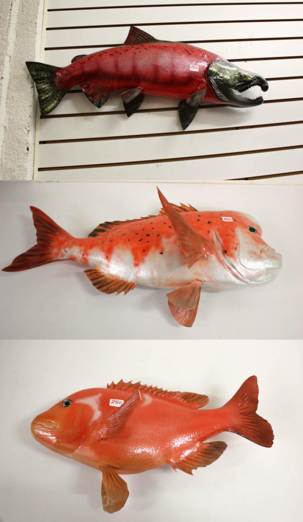 THREE WALL-MOUNT FISH TROPHIESTHREE