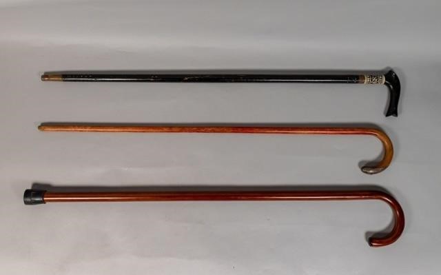 3 WOODEN CANES3 wooden canes Continental  340b10