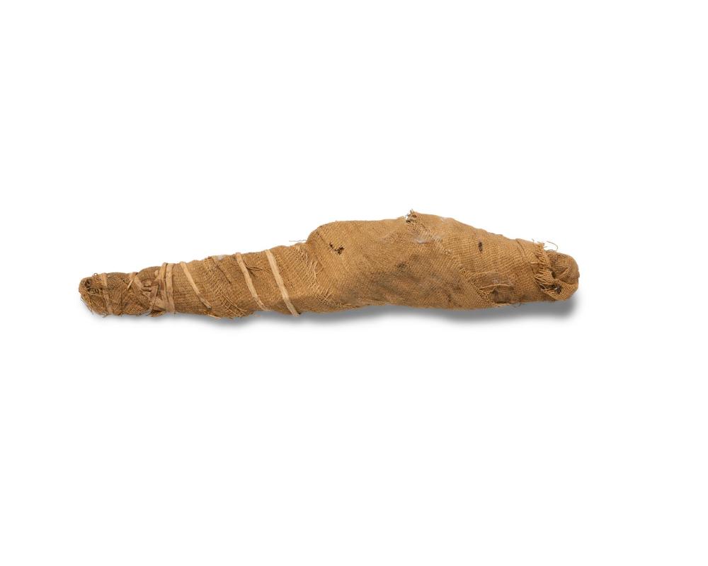 AN ANCIENT EGYPTIAN MUMMIFIED FISHAn 344058