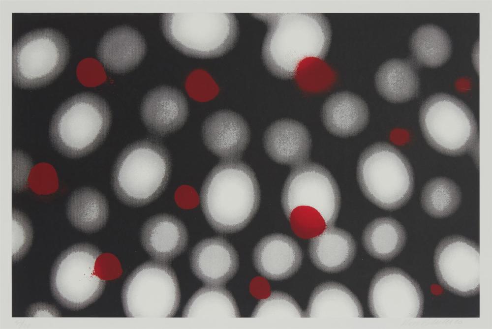 ROSS BLECKNER B 1949 AMERICAN  34437f