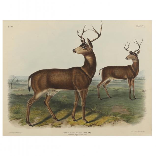 AFTER JOHN JAMES AUDUBON AMERICAN  3452a8