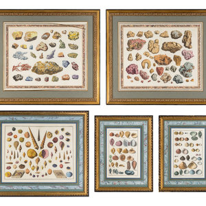 Five Framed Hand-Colored Engravings