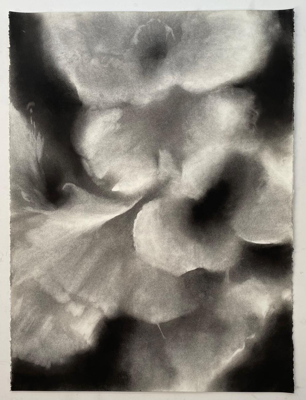 MELISSA REISCHMAN , "GHOST BLOSSOM,"