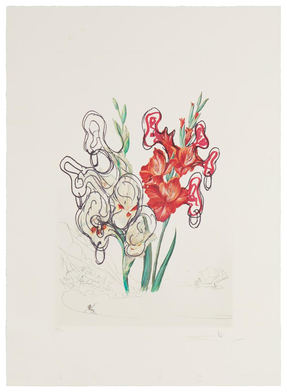 SALVADOR DALI 1904 1989 GLADIOLUS 34372c