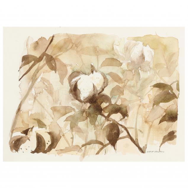CHIP HOLTON (NC), COTTON BOLL Watercolor