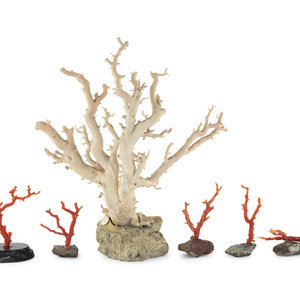 Six Chinese Coral Branches each 345aa4