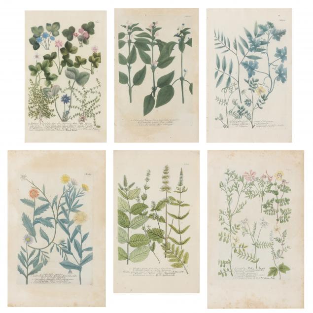 SIX 18TH CENTURY FLORAL ENGRAVINGS 345c9a