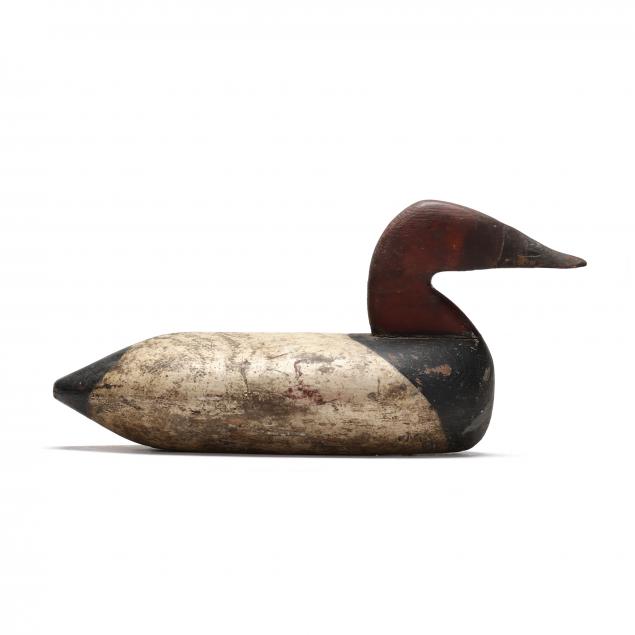 ANONYMOUS MD UPPER BAY CANVASBACK 3460a5