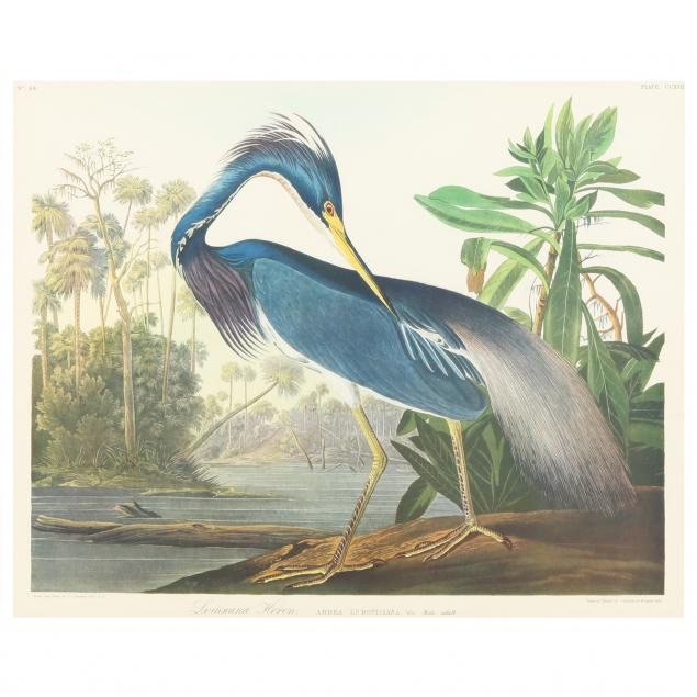 FRAMED PRINT AFTER AUDUBON'S LOUISIANA