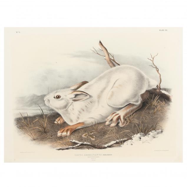 AFTER JOHN JAMES AUDUBON AMERICAN  34a006