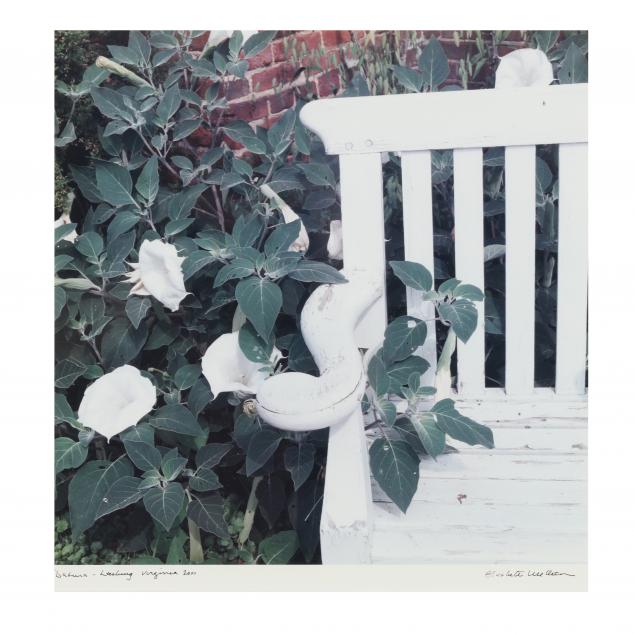 ELIZABETH MATHESON (NC), DATURA,