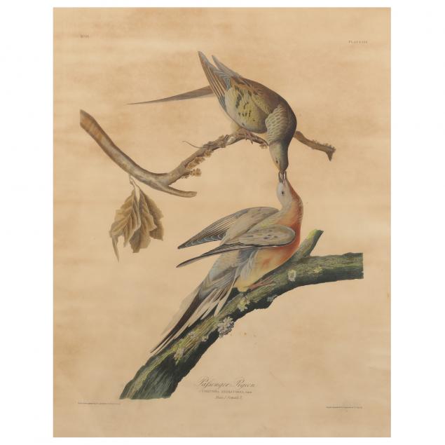 AFTER JOHN JAMES AUDUBON AMERICAN  34804a