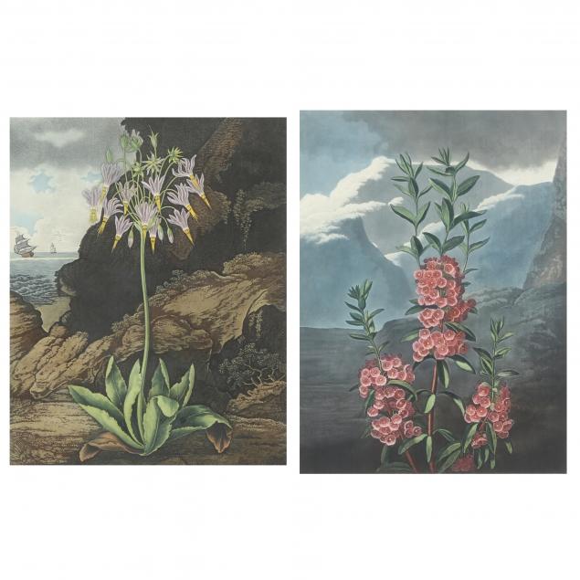 TWO ANTIQUE BOTANICAL PRINTS FROM 3484b7