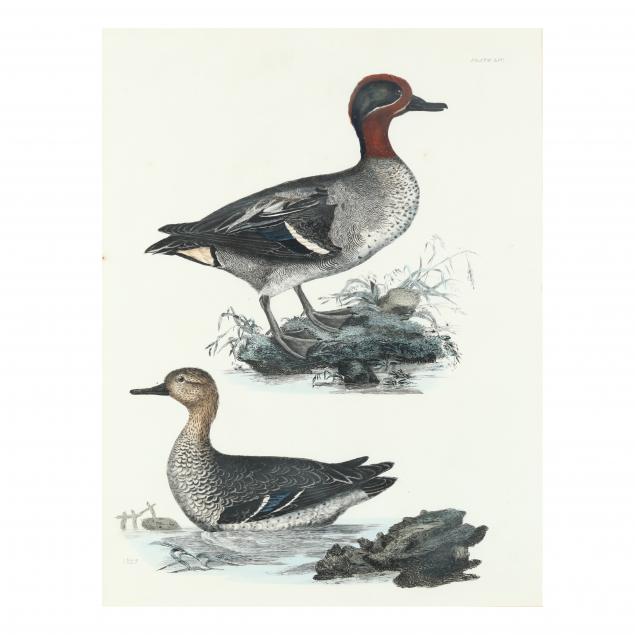 ANTIQUE WATERFOWL ENGRAVING WITH