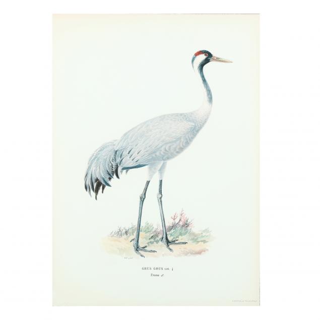 LARGE FRAMED PRINT OF A CRANE Giclée