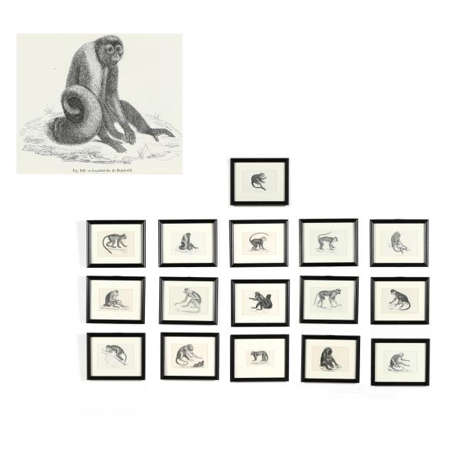 LARGE COLLECTION OF ANTIQUE PRIMATE 34b848