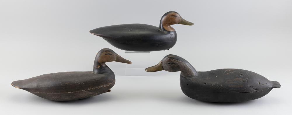 THREE NEW JERSEY BLACK DUCK DECOYS