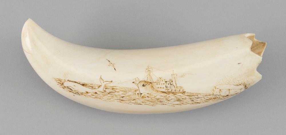  DECORATED WHALE S TOOTH 20TH 34c08e