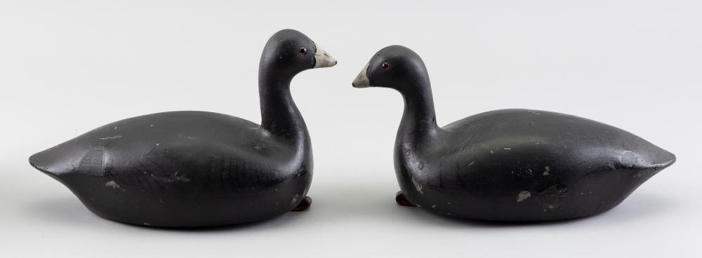 TWO FRESHWATER COOT DECOYS 20TH
